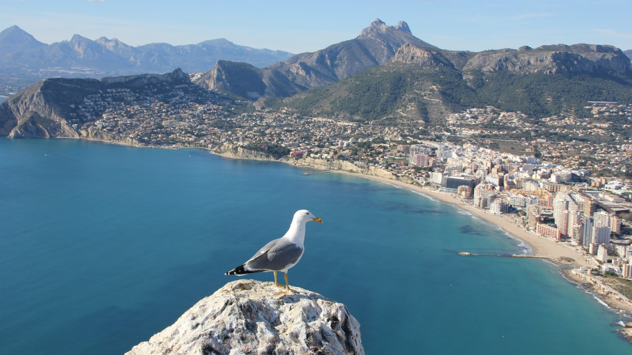 alicante